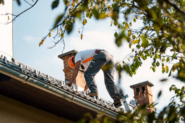 Roof Gutter Cleaning in Allegan, MI