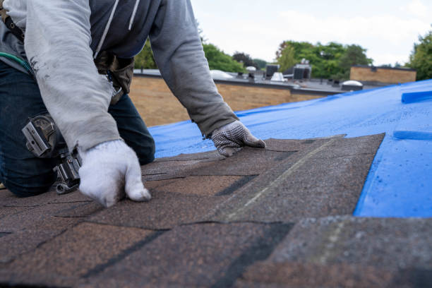 Best Roof Gutter Cleaning  in Allegan, MI