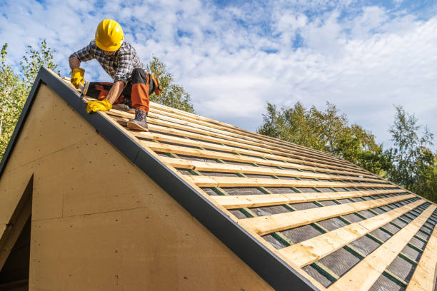 Best Roof Restoration Services  in Allegan, MI